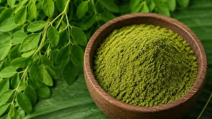 Moringa (Moringa oleifera)