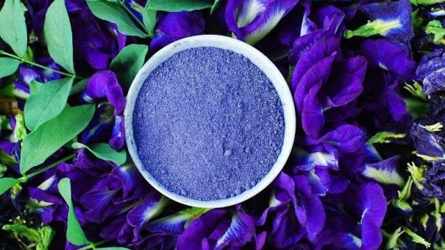 Premium Butterfly Pea Flower (Clitoria ternatea)